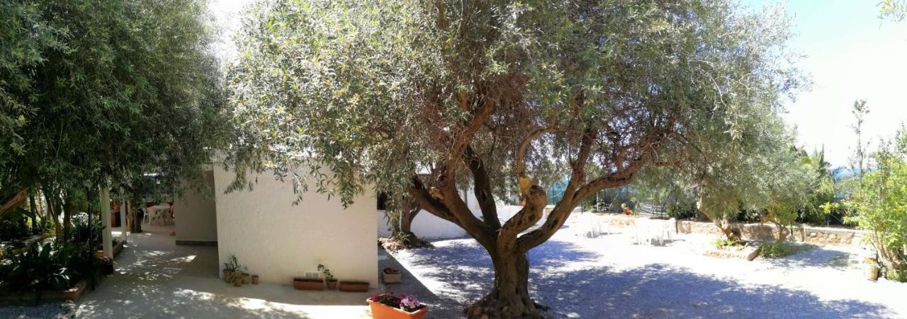 Villa La Plaja 切法卢 外观 照片